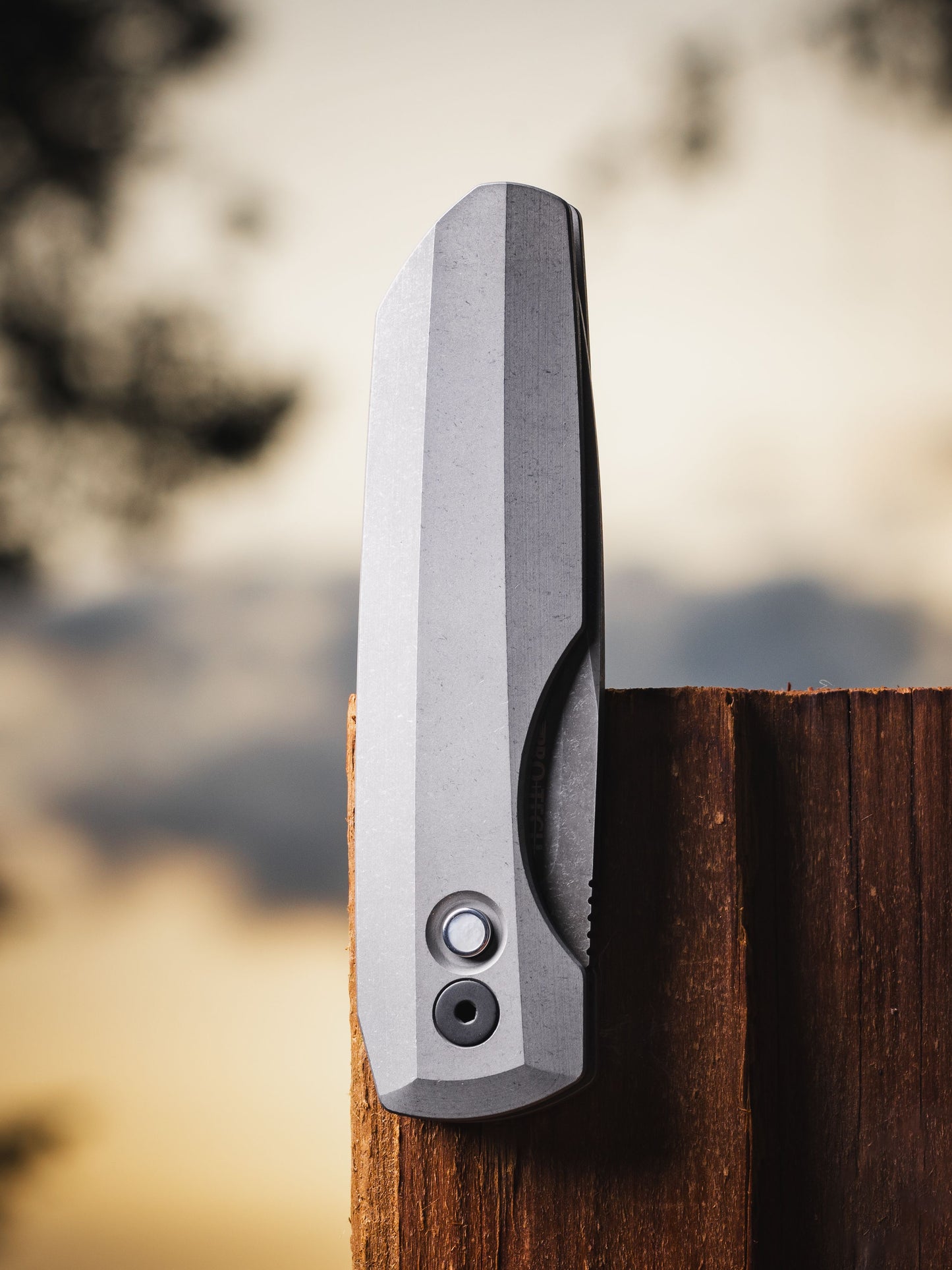 ProTech Synapse 2 Custom 003