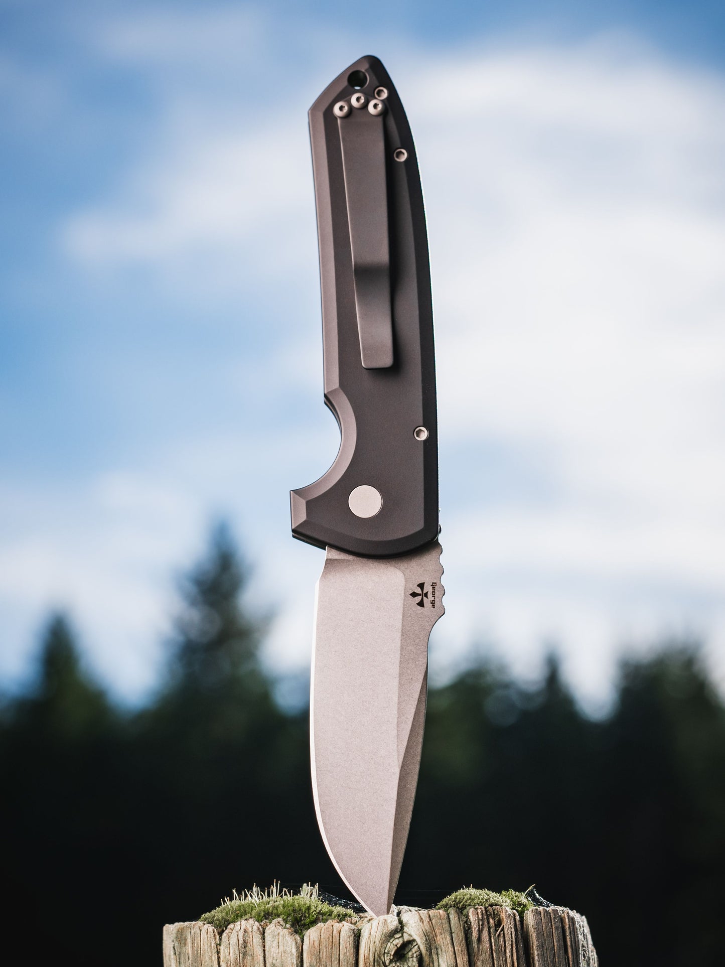 ProTech Rockeye Magnacut LG3101