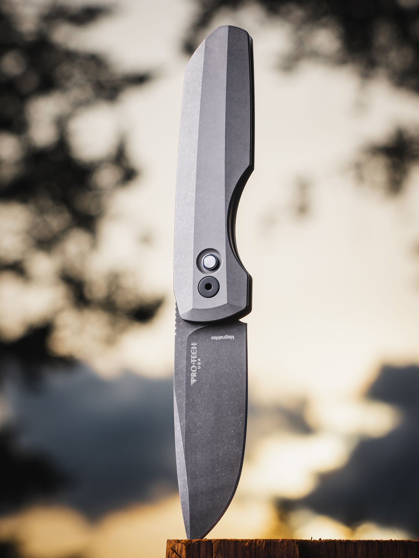 ProTech Synapse 2 Custom 003