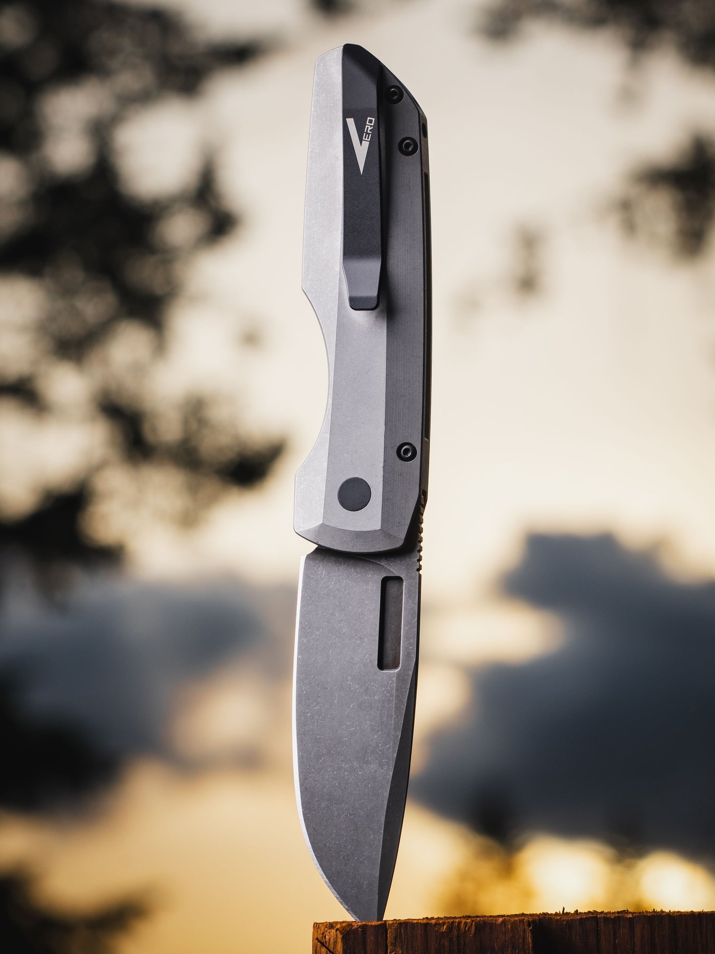 ProTech Synapse 2 Custom 003