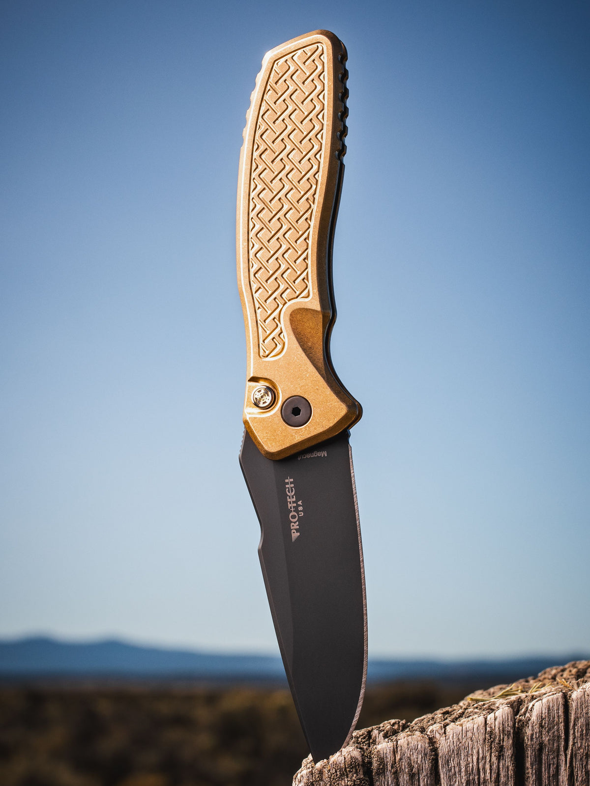 ProTech 2026 Pallas Custom 006