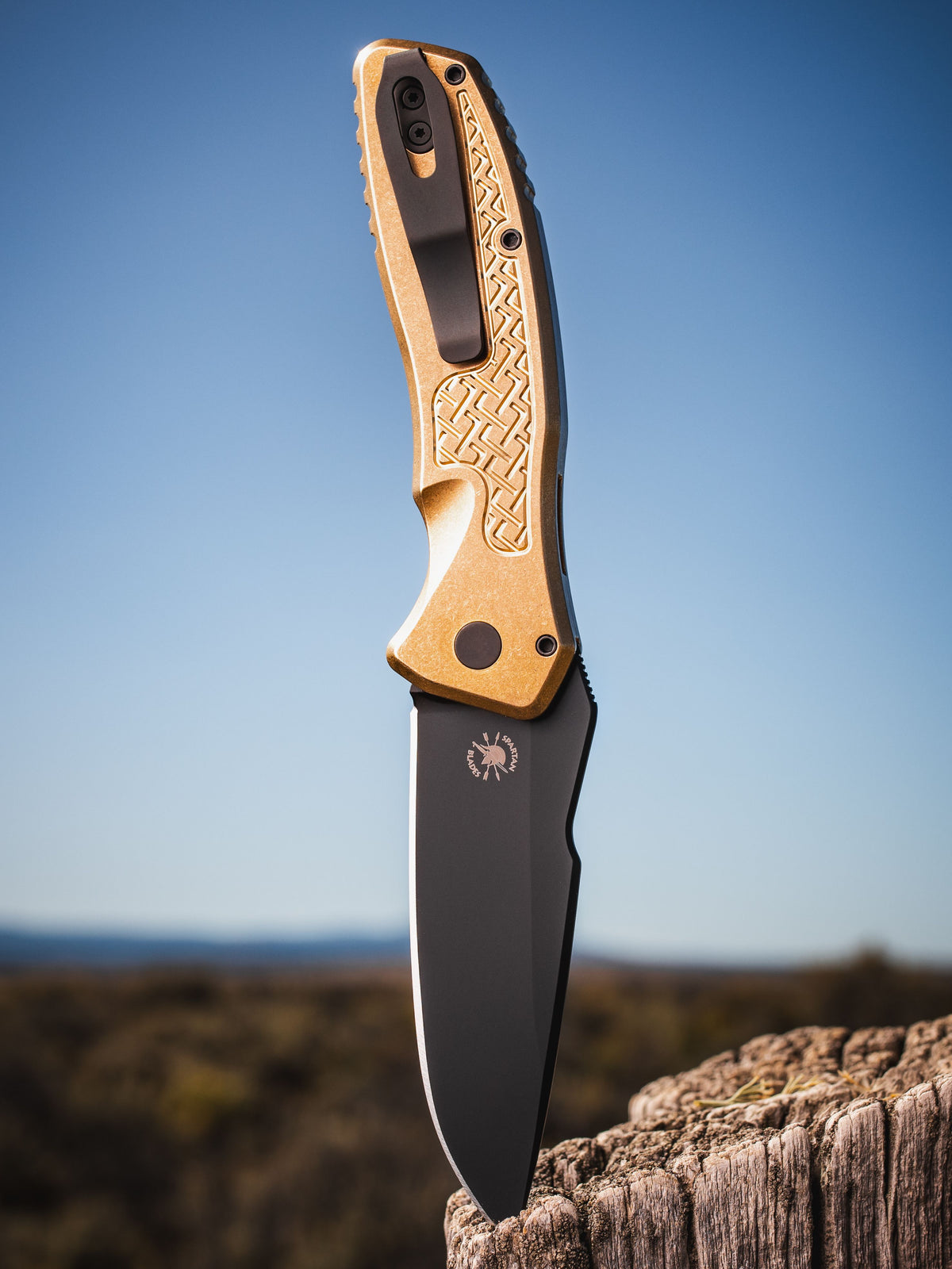 ProTech 2026 Pallas Custom 006