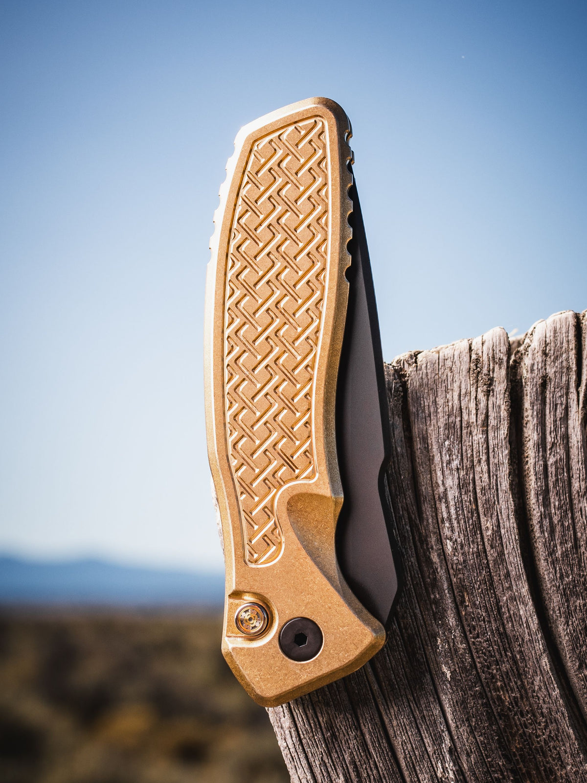 ProTech 2026 Pallas Custom 006